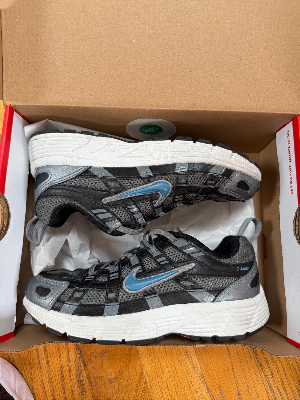 Nike Kids P-6000 sz 1